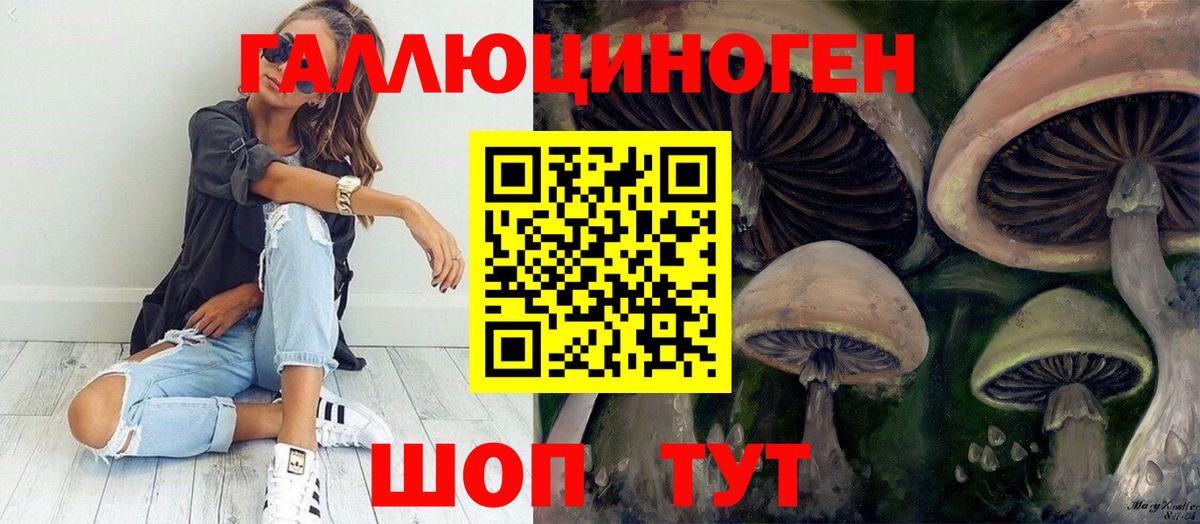 Чебоксары  Псилоцибиновые грибы ЛСД  Псилоцибиновые грибы MAGIC MUSHROOMS  Вход с VPN 